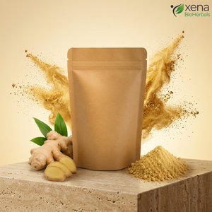 Fabricante de Extracto de Jengibre Orgánico en Polvo, Extracto de Raíz de Jengibre, Extracto Herbal Natural, Venta al Por Mayor OEM - Product Image 1