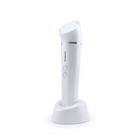 Appareil de massage facial anti-âge pour raffermir la peau rouge, lifting du visage, anti-rides, rajeunissement de la peau