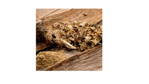 Polvo de arcoíris de alta calidad, resina suave de alta gama, 80% - Product Image 4