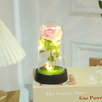 Ornement en verre en forme de dôme d'ange fait main, roses séchées, plantes préservées à LED, fleur éternelle, Thanksgiving, Saint-Valentin, fête des mères