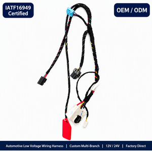 汽车线束 12V 24V 定制低压线束 OEM 制造商 IATF16949 RoHS 工厂直销 - Product Image 1