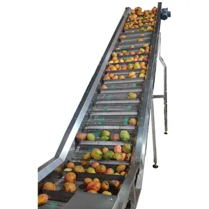 Fabrieksaanbieding Automatische Plc Controle Mango Pulp Verwerkingsmachine Sap Drank Productielijn - Product Image 2