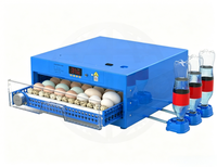 Nouvel incubateur électrique entièrement automatique 12V DC 110V/220V AC, taux d'éclosion de 98%, double alimentation, 36 œufs, en PP, pour canards, oies et poulets