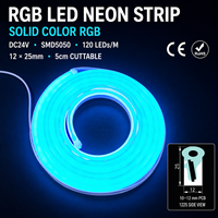 Ruban LED néon RGB 12x25mm, LED néon latérale, étanche, lumière néon RGB, DC24V SMD5050 pour projets extérieurs