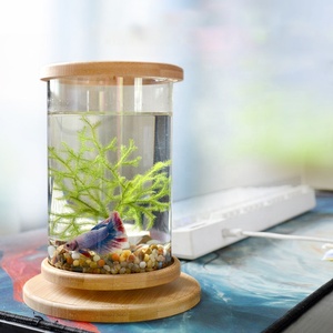 Réservoir de poissons écologique <span class=keywords><strong>en</strong></span> <span class=keywords><strong>bois</strong></span> de bambou créatif double verre de bureau Mini bricolage <span class=keywords><strong>poisson</strong></span> rouge Betta Fish Tank - Product Image 5