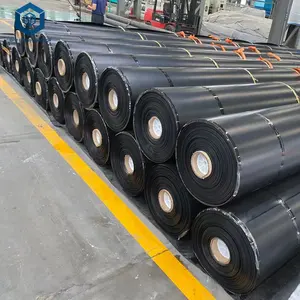 BPM土工合成材料土工膜池塘内衬HDPE LDPE LLDPE PVC土工膜供应商