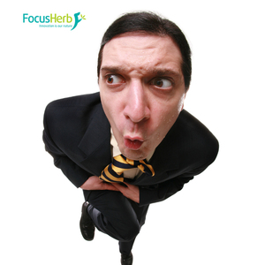 Focusherb สารสกัดจากใบเซนโนไซด์ผงสารสกัดจากใบมะขาม20% มะขามแขก - Product Image 3