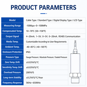 Sensor de Vacío a Alta Presión -100KPa-100MPa, Transmisor de Presión 4-20mA RS485, Alta Precisión 0.5%FS, Transductor Absoluto - Product Image 6