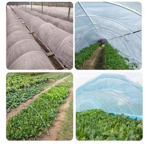 Poteaux en fibre de verre solides, durables et anti-rouille pour serres, légers et haute résistance, services de soudage et de pliage, longueur et couleur personnalisées - Product Image 4