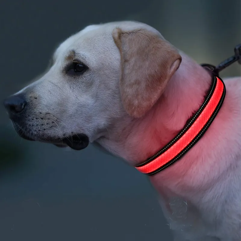 Clipe de segurança resistente ao tempo, colar com iluminação led, de segurança para cães e gatos, colar com pingente brilhante