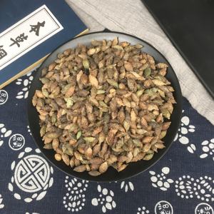 Vente en gros de graines de cocklebur chinoises de haute qualité Chao Can Er Zi, variété complète - Product Image 6