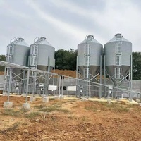 Silo à alimentation pour porcs et volailles au prix fabricant, en tôle d'acier galvanisé à chaud, pour stockage de céréales en élevages avicoles et porcins, garantie 1 an