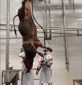 Nouvel équipement de <span class=keywords><strong>boucherie</strong></span> de machine d'abattage de bétail et de porc avec des composants de PLC de noyau pour la ligne d'abattage de maison de viande - Product Image 4