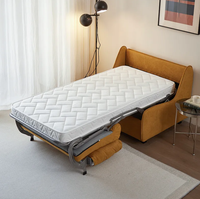 Canapé-lit extensible haut de gamme pour petit appartement avec matelas, pliable pour salon, balcon, canapé