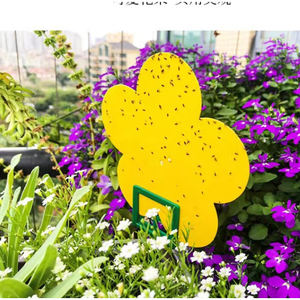 Trampas Adhesivas para Mosquitos de Plantas, Trampas Adhesivas Amarillas de Doble Cara para Moscas de la Fruta, Atrapa <span class=keywords><strong>Insectos</strong></span> para Exteriores, para Mosquitos e <span class=keywords><strong>Insectos</strong></span> Voladores - Product Image 2