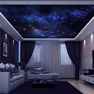 Papier peint mural en tissu sans couture au design industriel personnalisé ciel étoilé pour la décoration <span class=keywords><strong>de</strong></span> bars, <span class=keywords><strong>de</strong></span> cinémas et <span class=keywords><strong>de</strong></span> maisons - Product Image 5