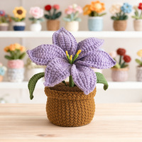 Plantes en pot tissées à la main en laine, décorations écologiques pour la maison et le bureau, cadeaux pour la fête des pères et la fête des mères