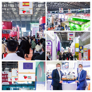 Extrusora de pellets de fabricación de alimentos para peces de tipo húmedo en venta, máquina procesadora - Product Image 6