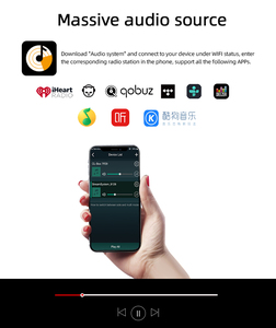 Cloudyx Active Home Amplifier 无线立体声数字音频 DAC 板，带 WiFi 和 <span class=keywords><strong>BT</strong></span> 输入功能，型号 CL-100WB - Product Image 6