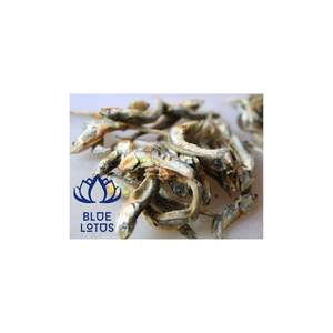 Anchoa de pescado secado al sol de Grado Superior-Pescado Premium Mariscos Anchoa seca Pescado de Loto Azul Vietnam - Product Image 1