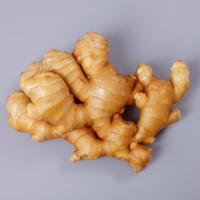 Tranches de gingembre frais biologiques AD, gingembre frais en gros, matière première pure