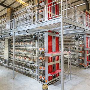 Jaula <span class=keywords><strong>de</strong></span> gallinas ponedoras <span class=keywords><strong>de</strong></span> <span class=keywords><strong>segunda</strong></span> <span class=keywords><strong>mano</strong></span> <span class=keywords><strong>de</strong></span> uso comercial, potente y resistente, para suministro <span class=keywords><strong>de</strong></span> equipos avícolas en granjas. - Product Image 1