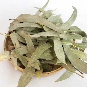 Feuilles d'<span class=keywords><strong>eucalyptus</strong></span> séchées de qualité supérieure, <span class=keywords><strong>tisane</strong></span> naturelle pour le soutien respiratoire, aromathérapie, vente en gros - Product Image 2