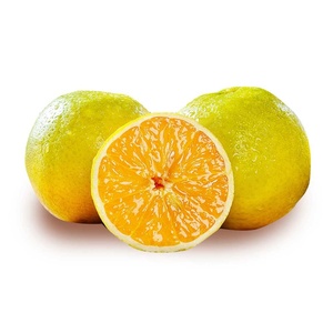 Vente en gros directe <span class=keywords><strong>de</strong></span> jus d'orange d'<span class=keywords><strong>été</strong></span> frais <span class=keywords><strong>de</strong></span> haute montagne Fruits <span class=keywords><strong>de</strong></span> <span class=keywords><strong>saison</strong></span> séchés d'origine-Zigui Origin - Product Image 4