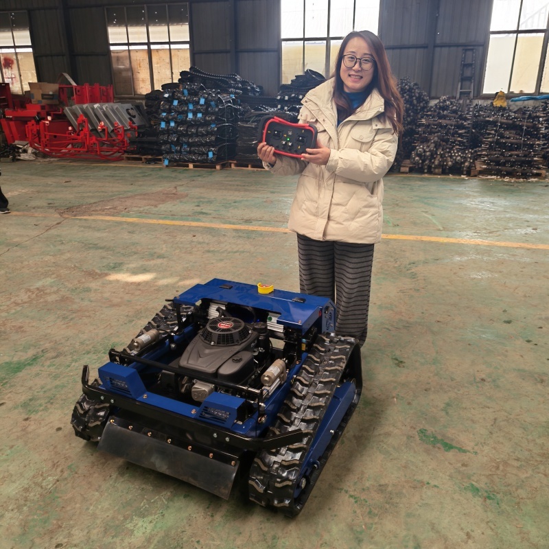 Grass Cutter Garden Use Remote Control