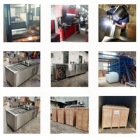 Machine professionnelle de fabrication de blocs de glace de 1000 kg (1 tonne) en conteneur, alimentée à l'énergie solaire, vendue au Botswana à prix abordable