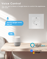 2025 EU Standard Tuya WiFi télécommande prise de courant murale Alexa Google Home commande vocale Android prise de surveillance électrique