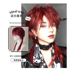 Perruque courte et droite pour homme, style queue de loup, pour cosplay, sans colle, en fibre Kanekalon, couvre-tête complet DM519 24 - Product Image 5