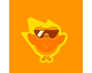 Duolingo Super Premium 1 an - Votre propre compte vous permet d'<span class=keywords><strong>apprendre</strong></span> une nouvelle langue à tout moment et <span class=keywords><strong>en</strong></span> tout lieu - Product Image 2