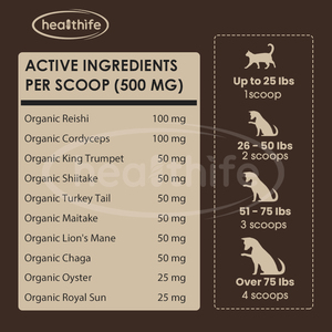 Healthife OEM Santé Immunitaire des Animaux <span class=keywords><strong>de</strong></span> Compagnie – Complexe <span class=keywords><strong>de</strong></span> 10 Champignons en Poudre (Reishi, Queue <span class=keywords><strong>de</strong></span> Dinde, Crinière <span class=keywords><strong>de</strong></span> <span class=keywords><strong>Lion</strong></span>) pour Chiens et Chats - Product Image 3