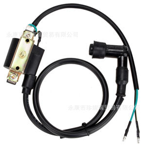 คอยล์จุดระเบิดหม้อแปลงไฟฟ้าแรงสูง Zhennerui สำหรับรถมอเตอร์ไซค์วิบาก ATV โกคาร์ท ขนาด 70 90 110 125 ซีซี อะไหล่เครื่องยนต์ - Product Image 3