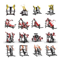 Conjunto de Equipos de Gimnasio Comerciales Completos y Eficientes para Proyectos de Apertura de Gimnasios Nuevos de 100 m²