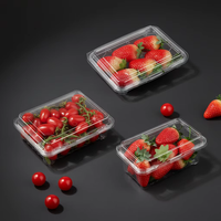 Chinese fabrikant op maat gemaakte 250g 500 aardbei-kersentomaat verpakking PET plastic clamshell doos fruitverpakking tray