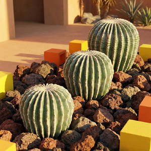 Cactus Artificiale Dorato a Forma di Sfera, Realistico, di Alta Qualità, Ecologico, Durevole, Resistente all'Acqua, per Interni ed Esterni, Casa e <span class=keywords><strong>Giardino</strong></span> - Product Image 2