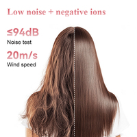 Sèche-cheveux sans fil portable avec grande batterie, sèche-cheveux de voyage sans fil haute vitesse