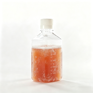 Suero Fetal <span class=keywords><strong>Bovino</strong></span> (Caracterizado) ACE Vitro OEM de 500 ml FBSC01 Libre de Virus Mycoplasma para Cultivo Celular - Product Image 4