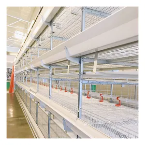 Broiler Battery Cage For 60000 Broilers