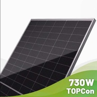 Panneau Solaire Monocristallin Bifacial Type N de Grade A à Demi-Cellules Double Verre 650W, Efficacité 23,25% - Prix de Gros
