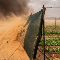 Filet pare-vent agricole avec structure d'ombrage tricotée durable, œillets en acier inoxydable pour jardin, ferme, serre, couverture extérieure