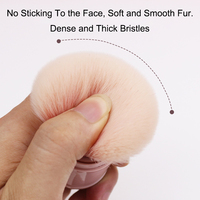 OEM Nouveau Jeu de Pinceaux de Maquillage Unique Swiss Beauty Compact Étui pour Poudre Libre Cheek Blush Fluffy Foundation Blender Cosmetic Brush Set
