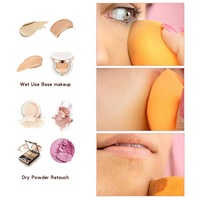 Set de Aplicadores Cosméticos Profesionales, Esponjas de Maquillaje para Difuminar, Brocha para Base, Proveedor de Logotipo Personalizado, ODM, Nueva Oferta