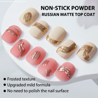 Ongles professionnels Gel UV vernis à ongles pas d'essuyage antiadhésif Chrome poudre mat couche de finition Nail Art Velvet Top Gel