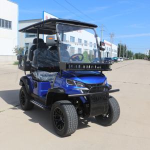 Carrito de Golf Eléctrico de Nueva Energía con la Mejor Relación Calidad-Precio, Configuración Básica, Buggy Económico - Product Image 3