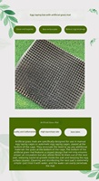 Nouveaux tapis en gazon artificiel pour poules pondeuses et poules reproductrices – Doublures de cage d'incubation – Vente en gros – Noir