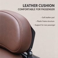 Ensemble de dossier de passager arrière pliable en plastique et cuir pour moto Qianjiang Flash 150