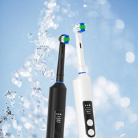 New Rotary Electric Toothbrush Spot Wholesale travel Box Smart Electric Toothbrush For Couples Home Adult